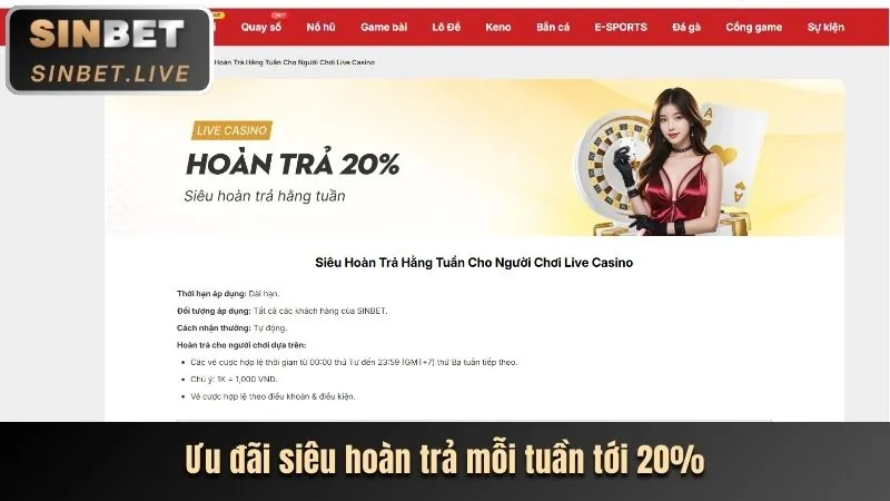 Hoàn trả cược thua thể thao NEW88